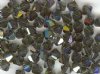 25 Morion AB 4mm Bi...